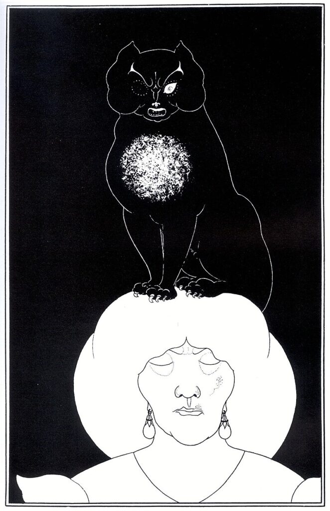 黒猫